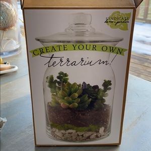Terrarium Kit